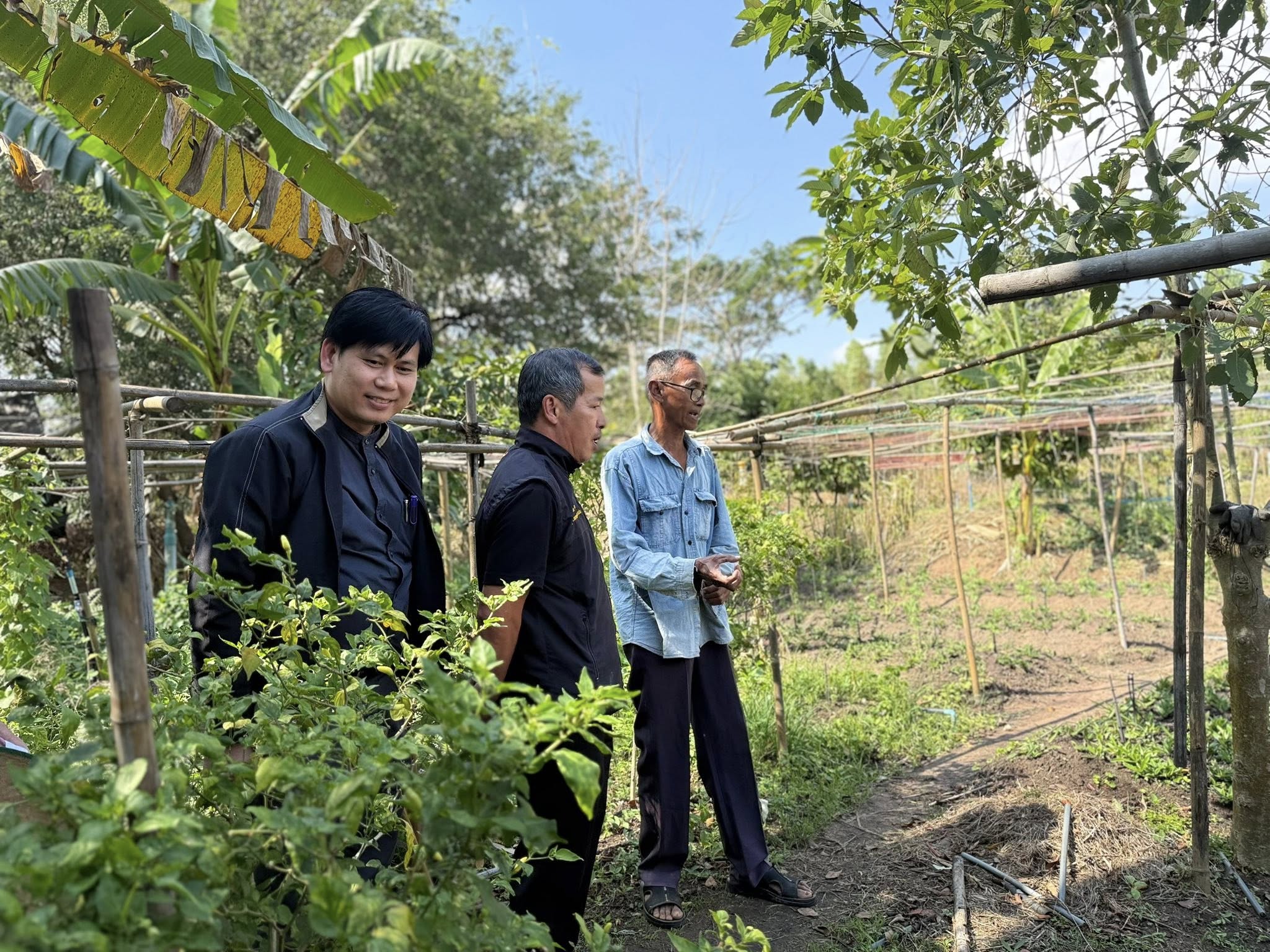 title - วันอังคารที่ 27 มกราคม 2569 ผู้ตรวจราชการ ส.ป.ก. ประชุมตรวจราชการและติดตามความก้าวหน้าผลการดำเนินงานตามแผนการตรวจราชการของผู้ตรวจราชการสำนักงานการปฏิรูปที่ดินเพื่อเกษตรกรรม ประจำปีงบประมาณ พ.ศ. 2569 รอบที่ 1 เขตตรวจราชการที่ 9 จังหวัดปราจีนบุรี